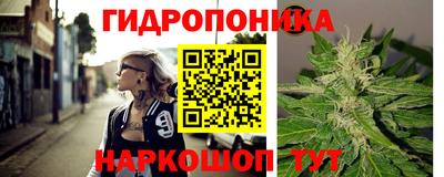 бошки Бийск
