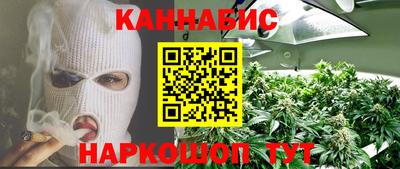 бошки Бийск