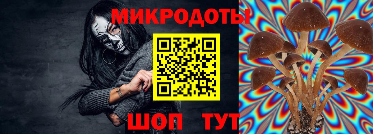 Кемерово  Галлюциногенные грибы мухоморы  Псилоцибиновые грибы мицелий  Вход с VPN 